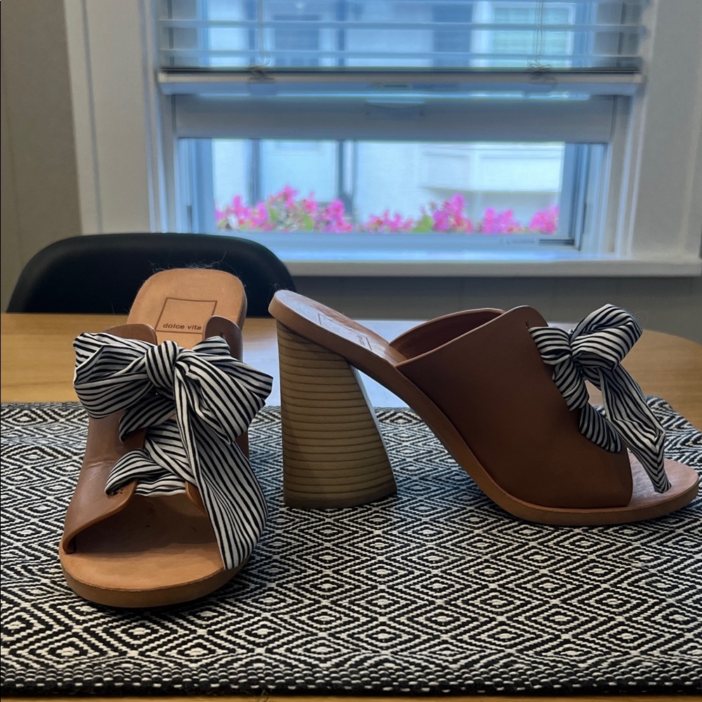 Dolce Vida Chunky Heel Slide Sandals